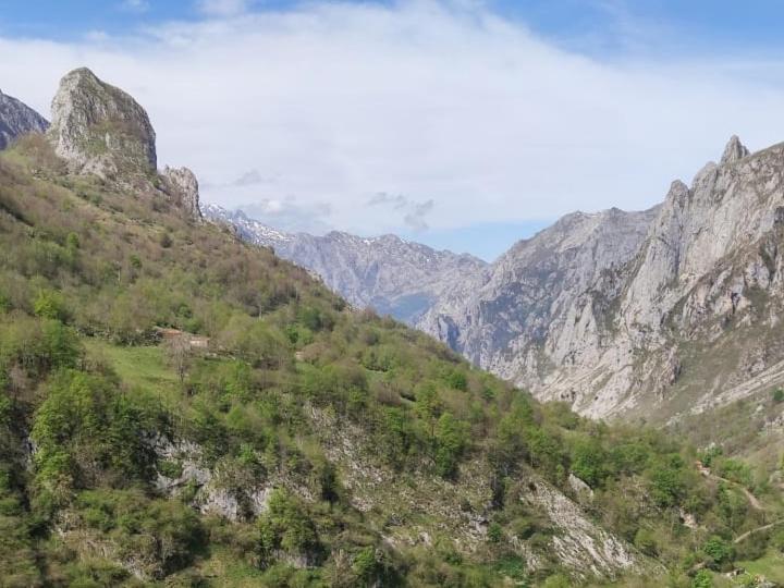 La Casina De Tielve De Cabrales Dentro Del Parque Nacional Picos De Europa Villa Exteriör bild