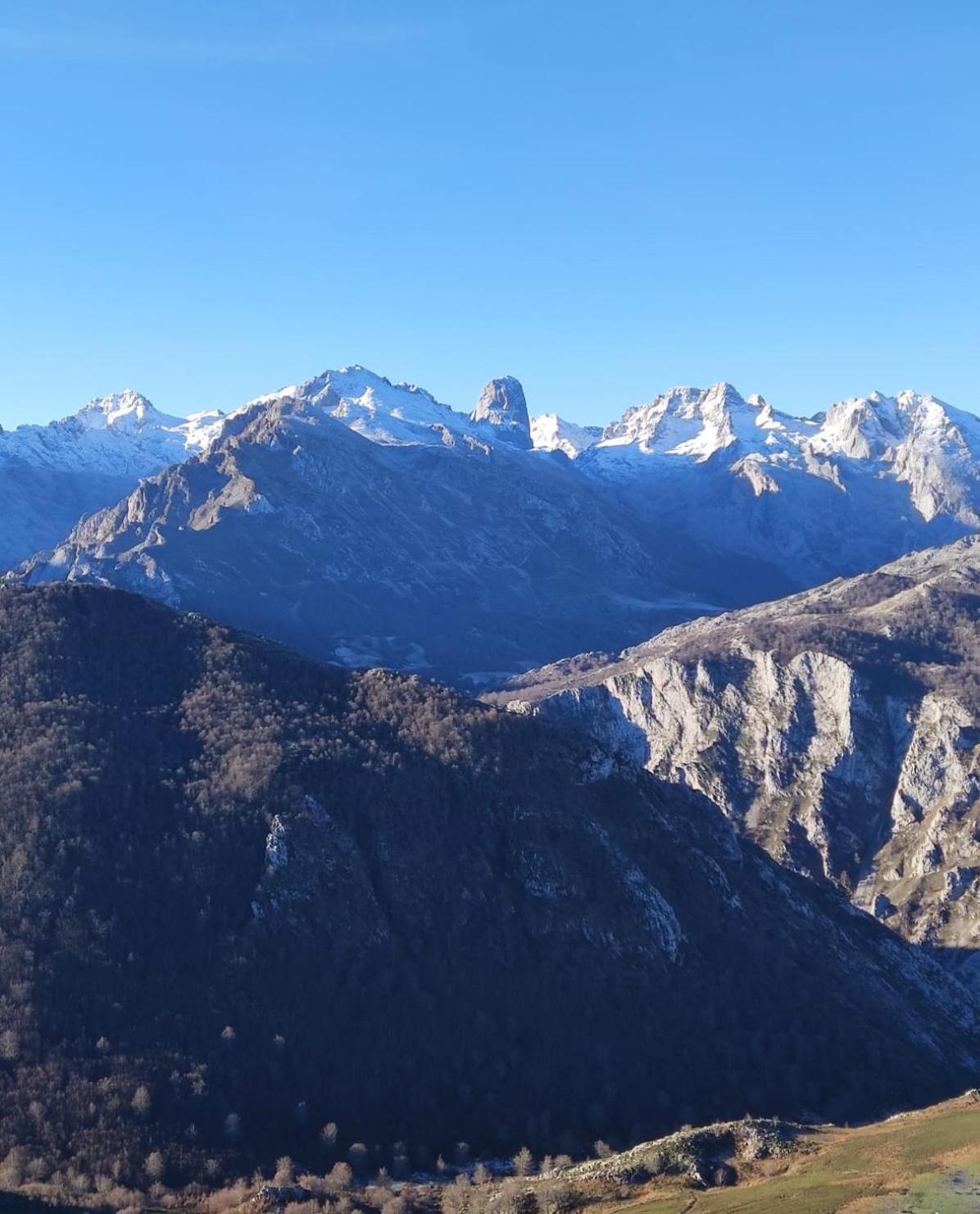 La Casina De Tielve De Cabrales Dentro Del Parque Nacional Picos De Europa Villa Exteriör bild